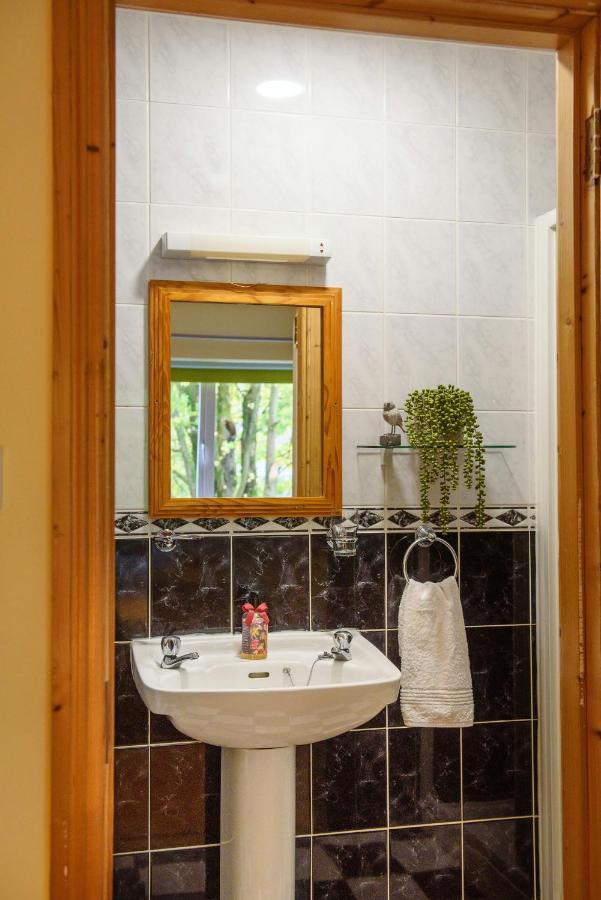 Waterfront Self Catering Houses Carrick on Shannon エクステリア 写真