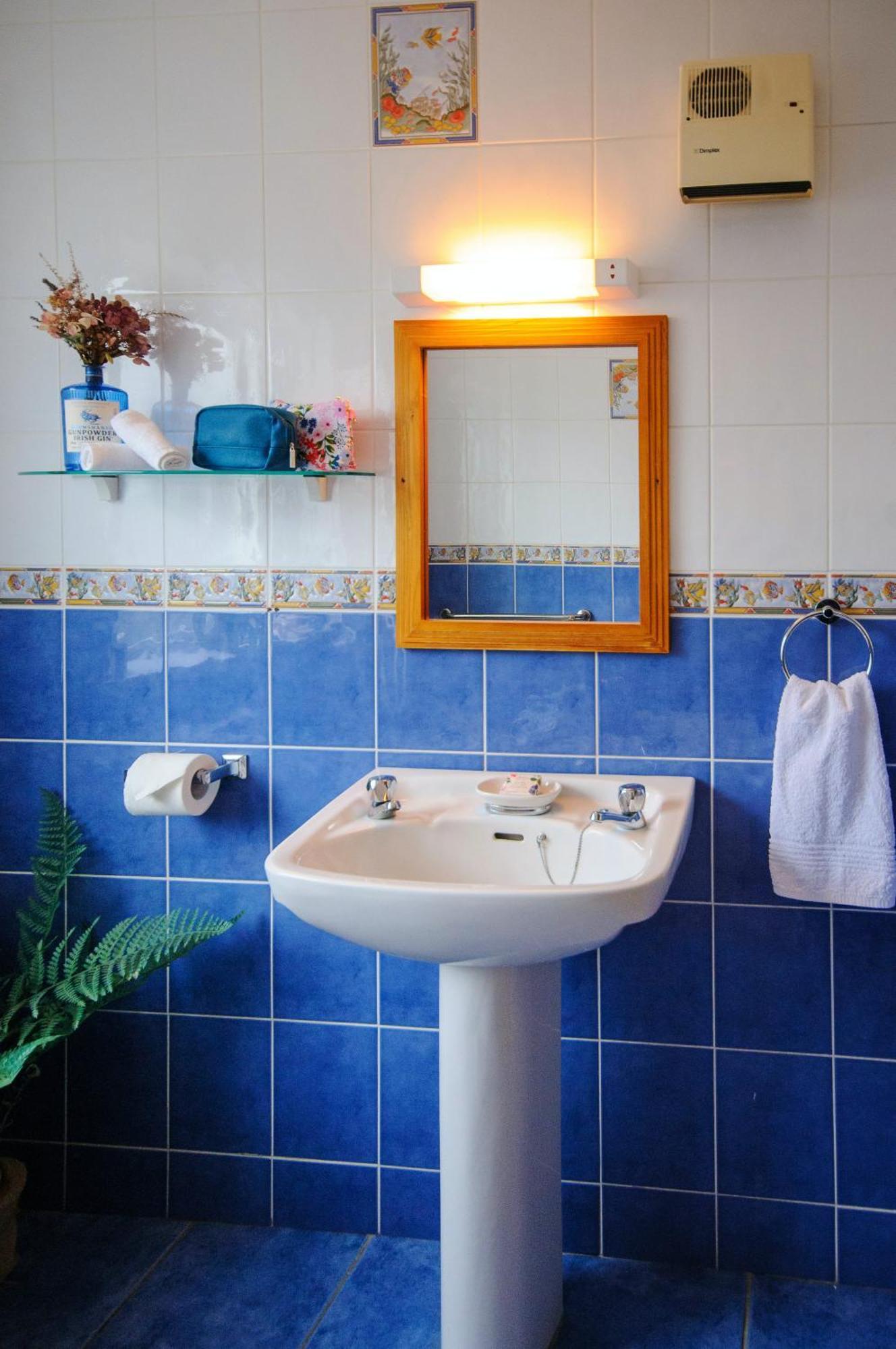 Waterfront Self Catering Houses Carrick on Shannon エクステリア 写真